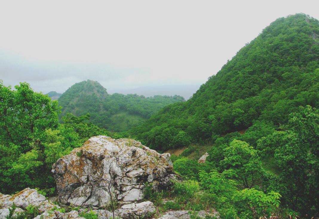 Екатерининский массив, image of landscape/habitat.