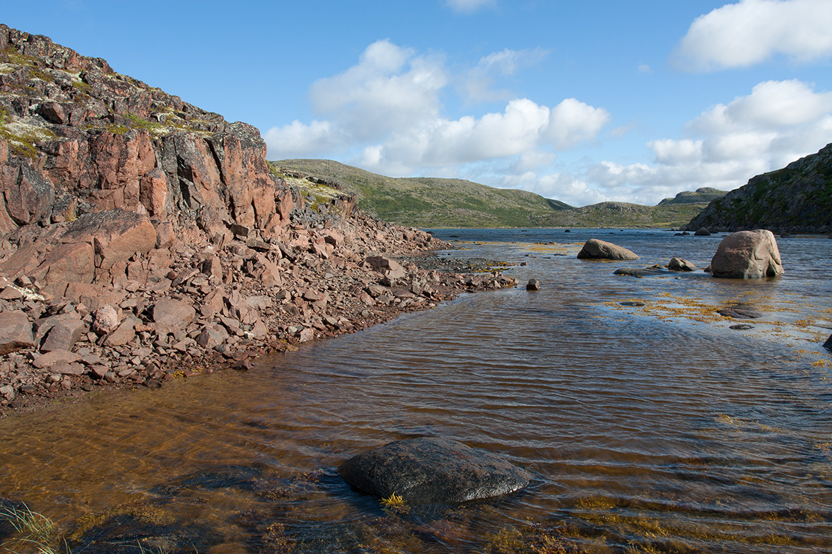 Устье Столбового ручья, image of landscape/habitat.