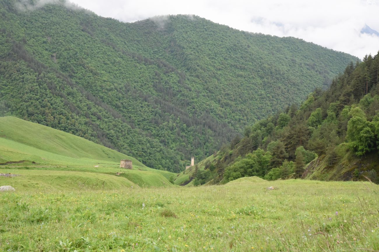 Окрестности урочища Оасег, image of landscape/habitat.