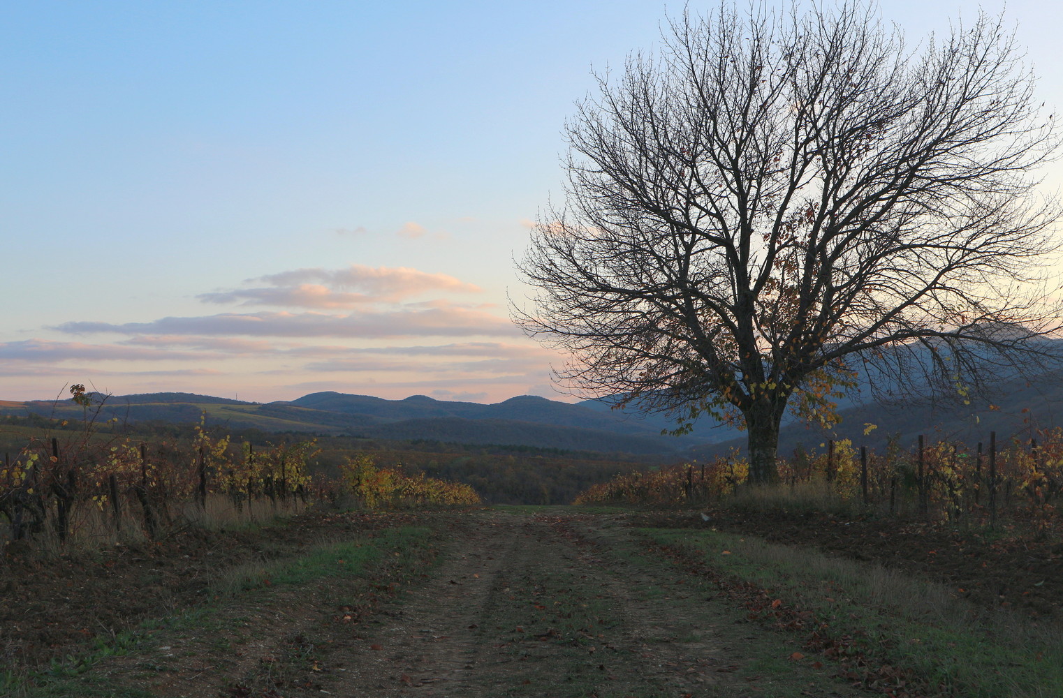 Долина реки Дюрсо, image of landscape/habitat.