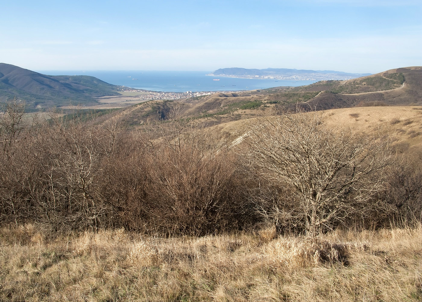 Урочище Солдатский Бугор, image of landscape/habitat.