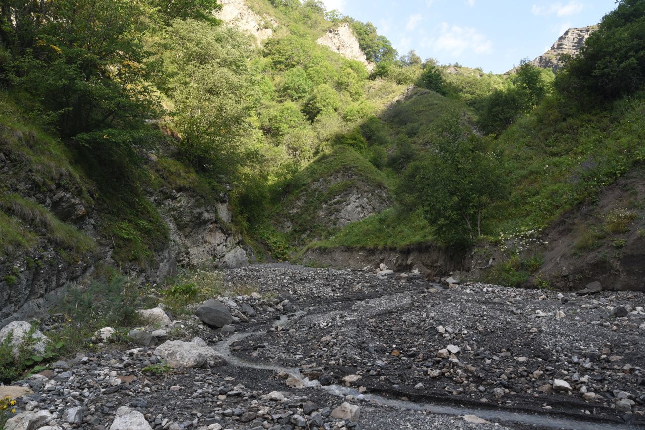 Ещё один левый приток Цесиахк, image of landscape/habitat.