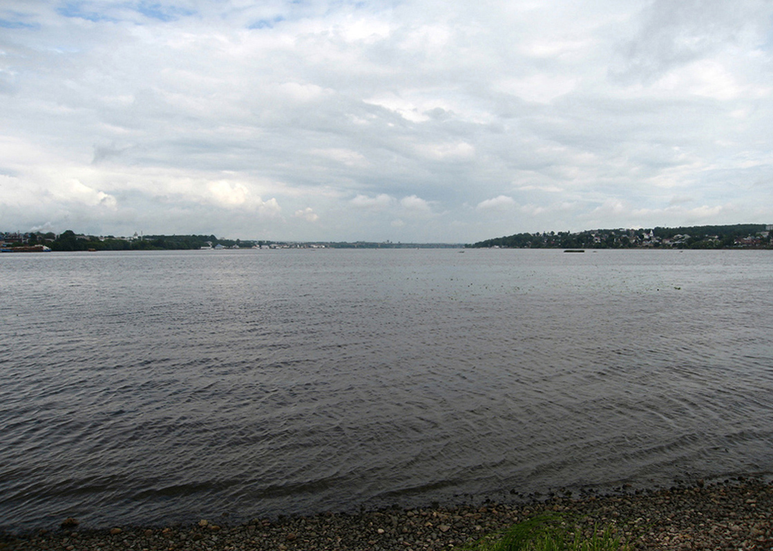 Левый берег реки Волга, image of landscape/habitat.