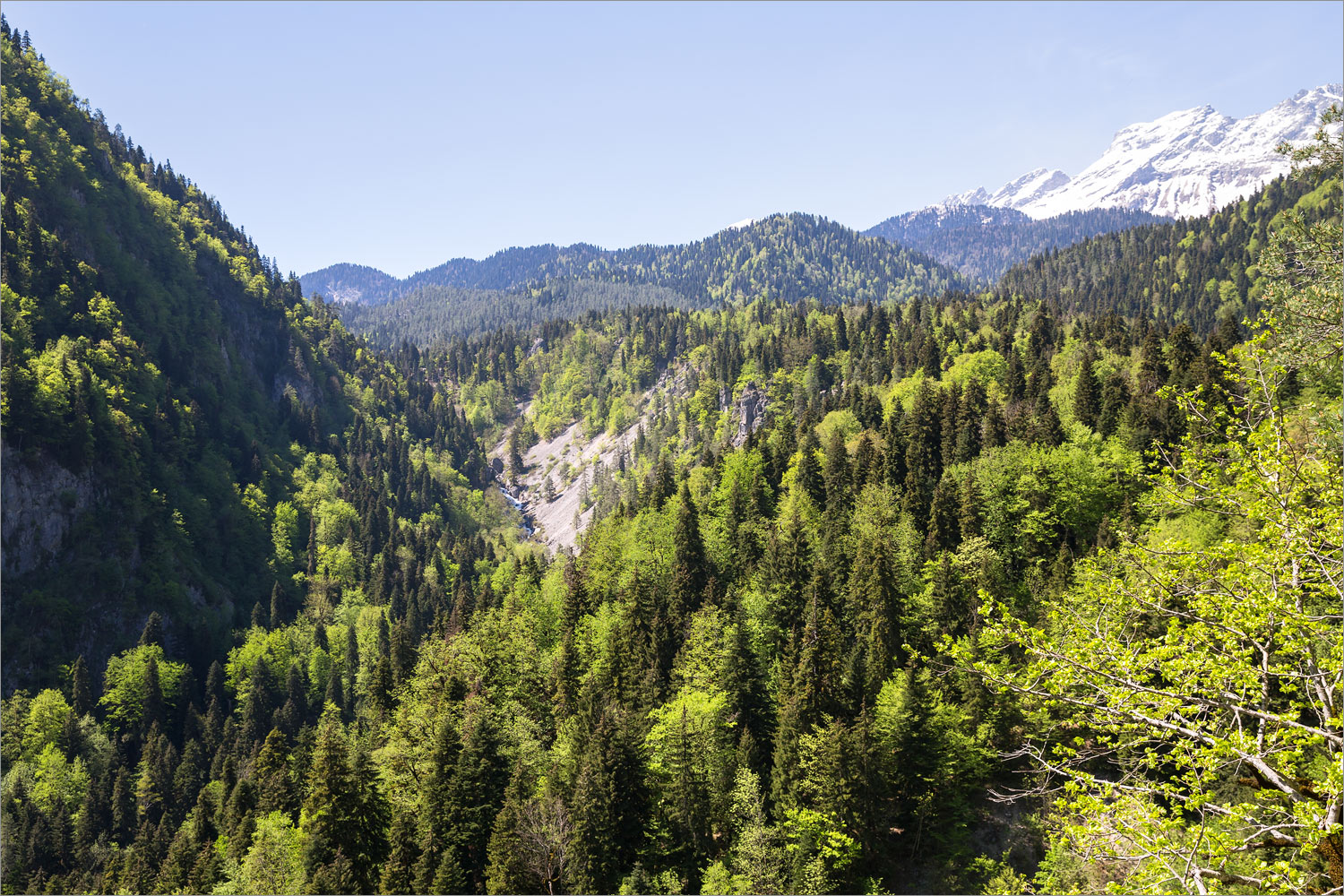 Юпшарский каньон, image of landscape/habitat.