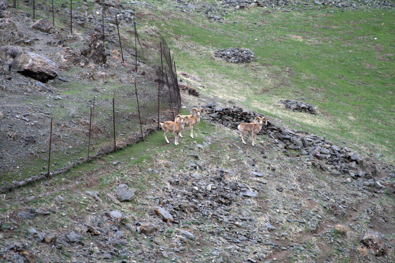 Хаятсай 2, image of landscape/habitat.