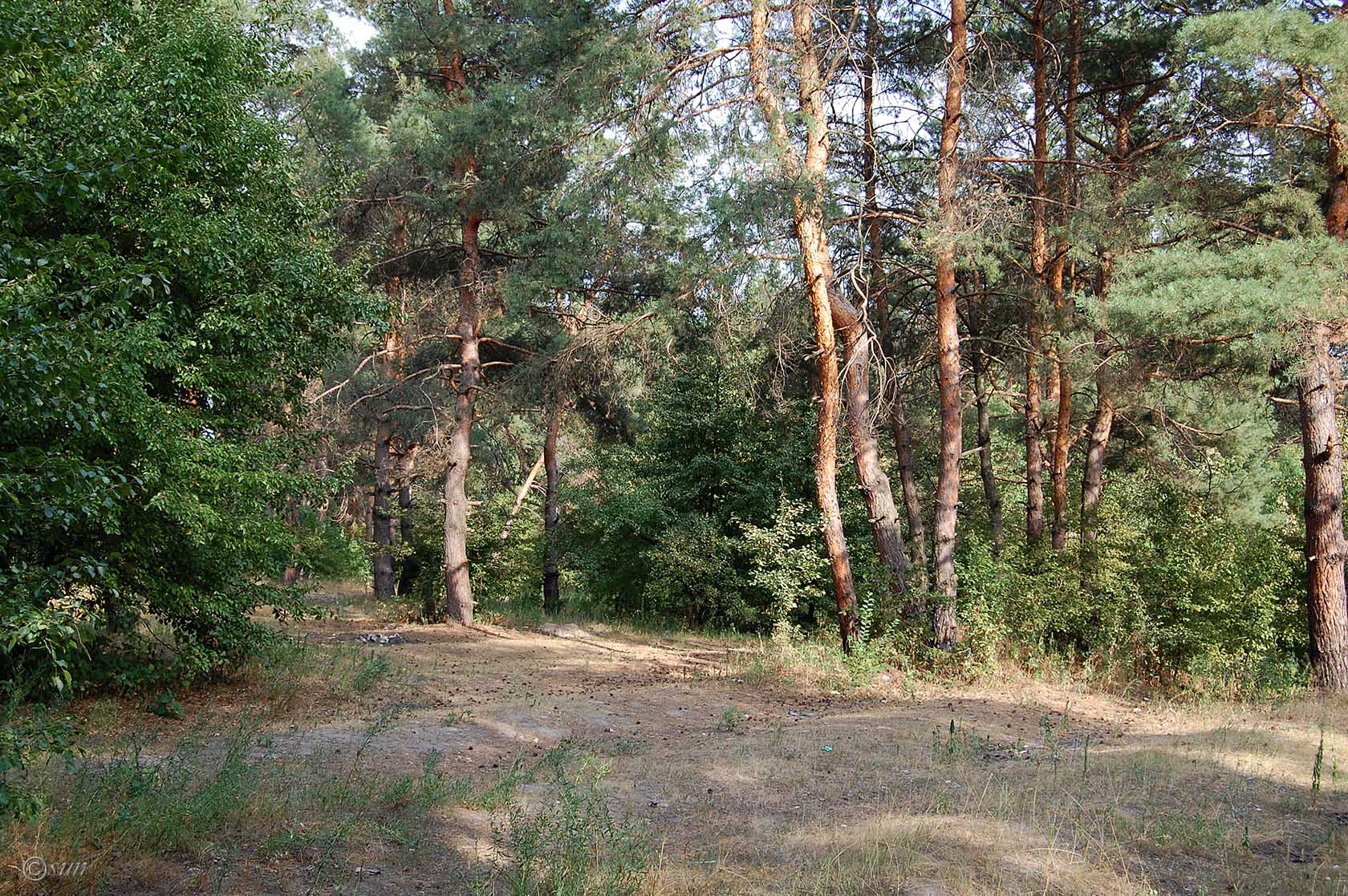 Станица Луганская и окрестности, изображение ландшафта.