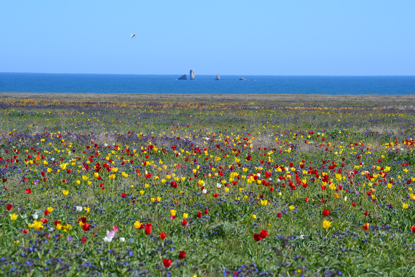 Урочище Латы (оз Узунлар), image of landscape/habitat.