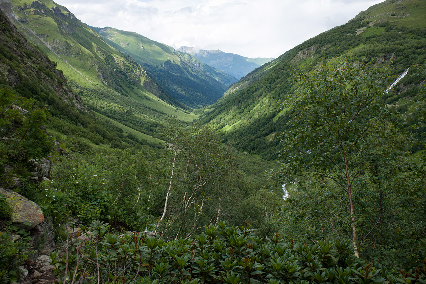 Имеретинское ущелье, image of landscape/habitat.