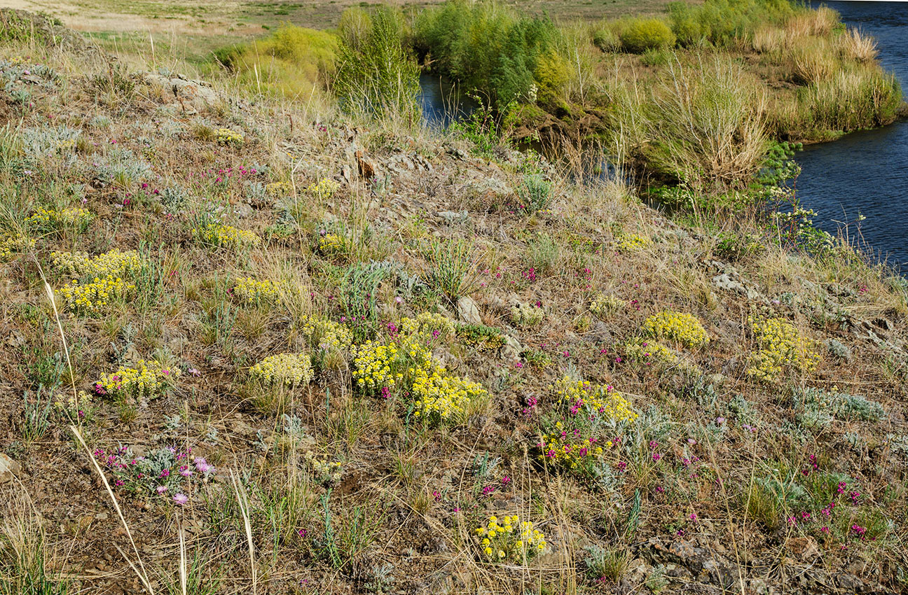 Ершовский, image of landscape/habitat.