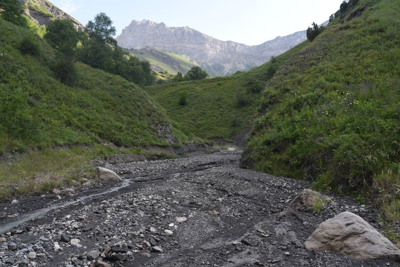 Ещё один левый приток Цесиахк, image of landscape/habitat.