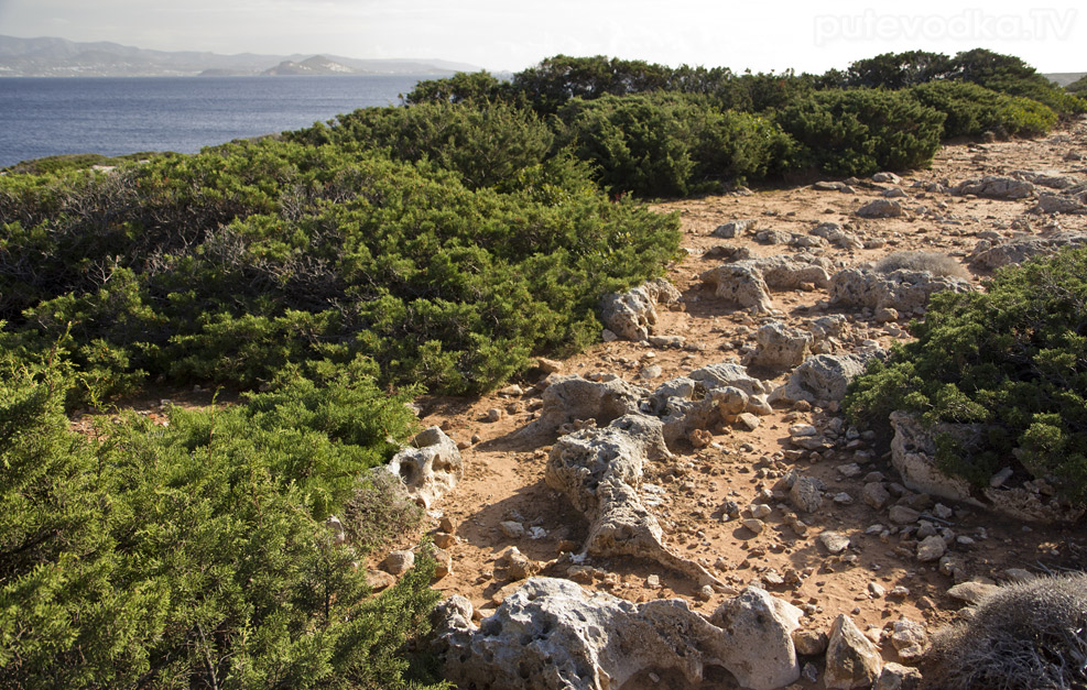 Остров Парос, image of landscape/habitat.