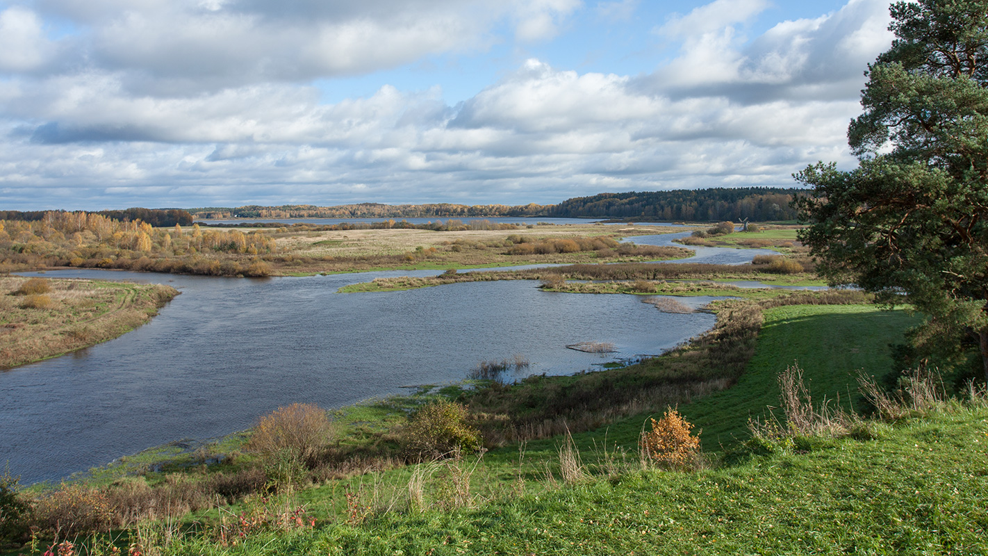 Савкина Горка и окрестности, image of landscape/habitat.