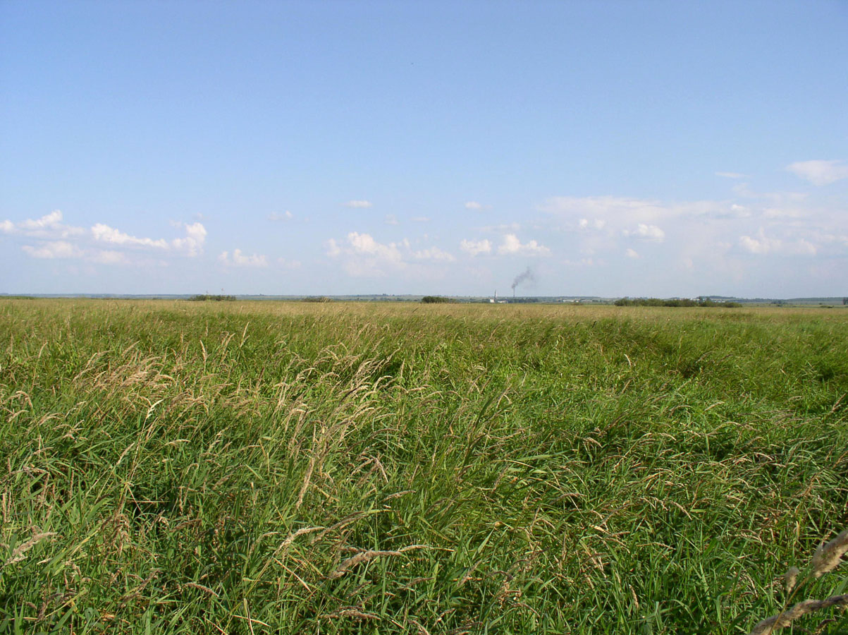 Озеро Неро, image of landscape/habitat.