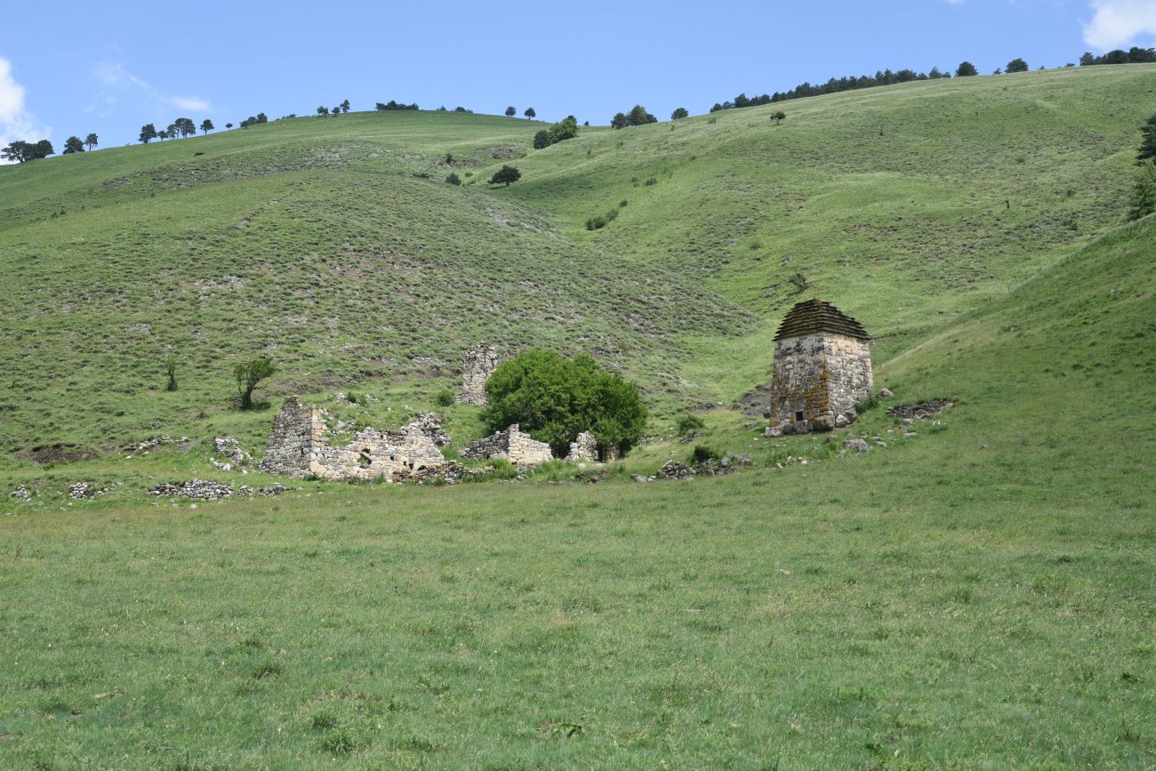 Урочище Балкоево, image of landscape/habitat.