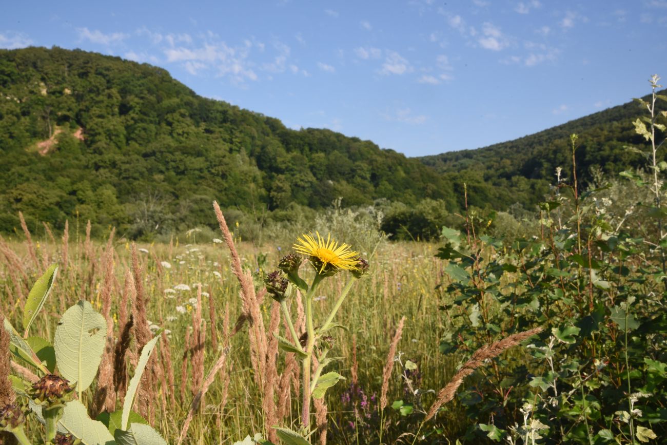 Урочище Холодное, image of landscape/habitat.