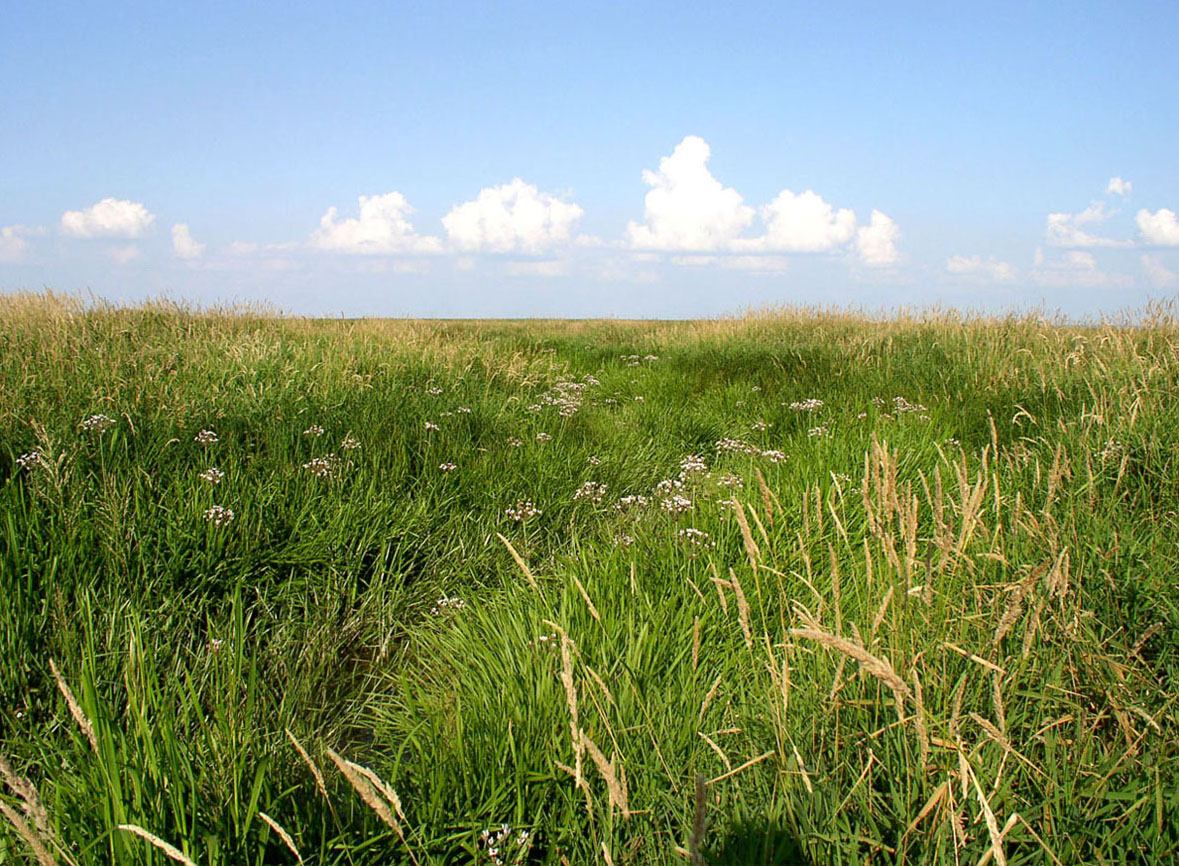 Озеро Неро, image of landscape/habitat.