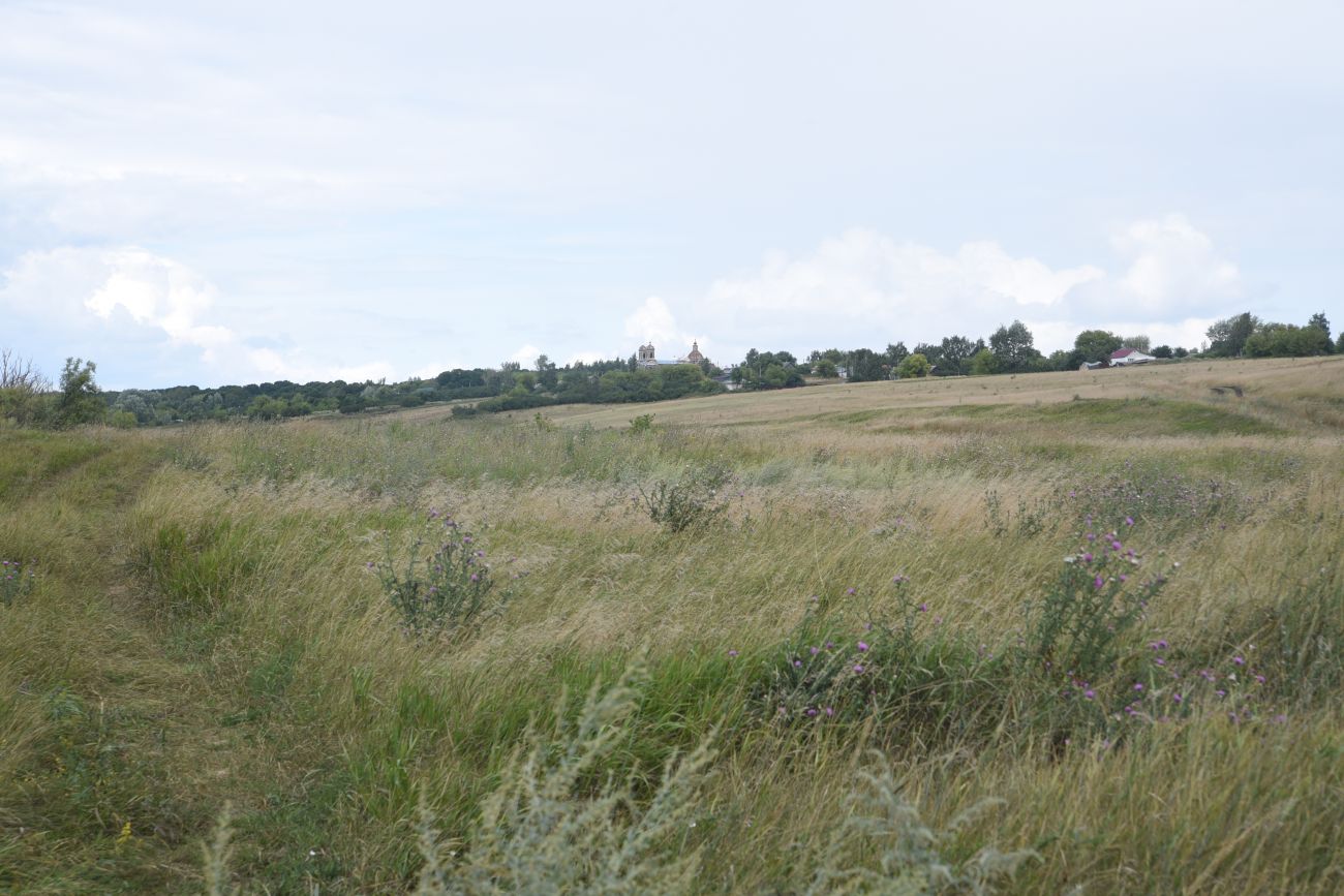 Воейково, image of landscape/habitat.