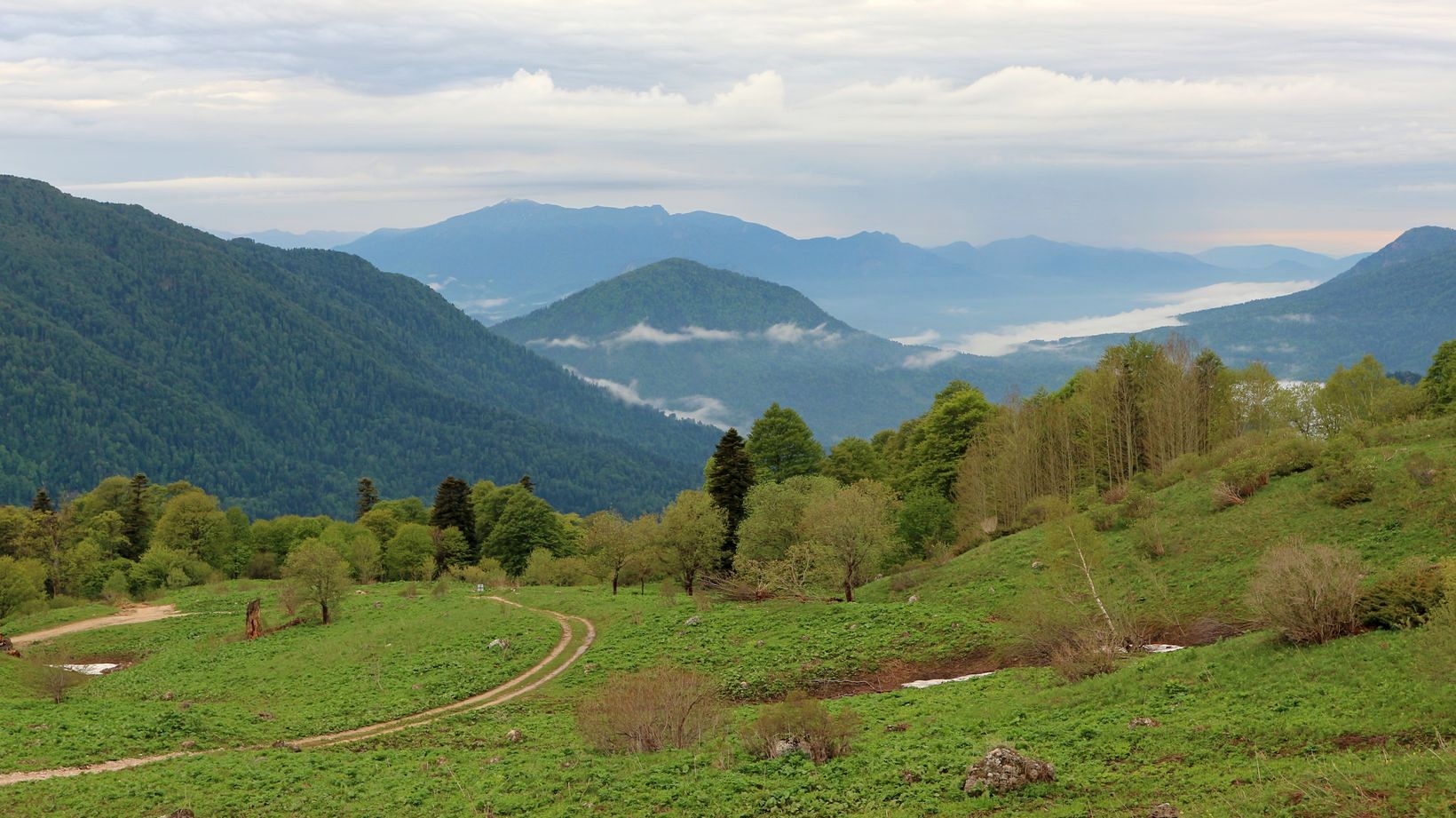 Верховья Пшехи, image of landscape/habitat.