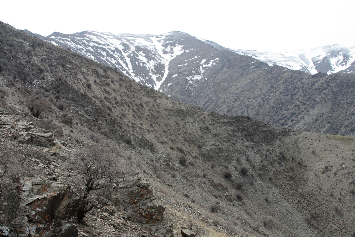 Хаятсай 2, image of landscape/habitat.