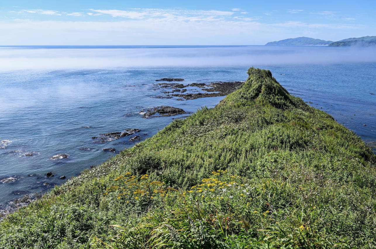 Мыс Евстафия, image of landscape/habitat.