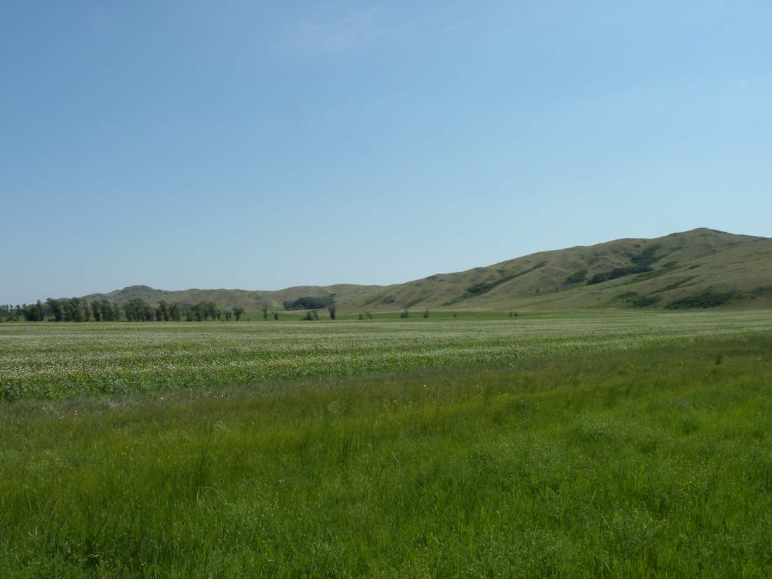 Озёрки, image of landscape/habitat.