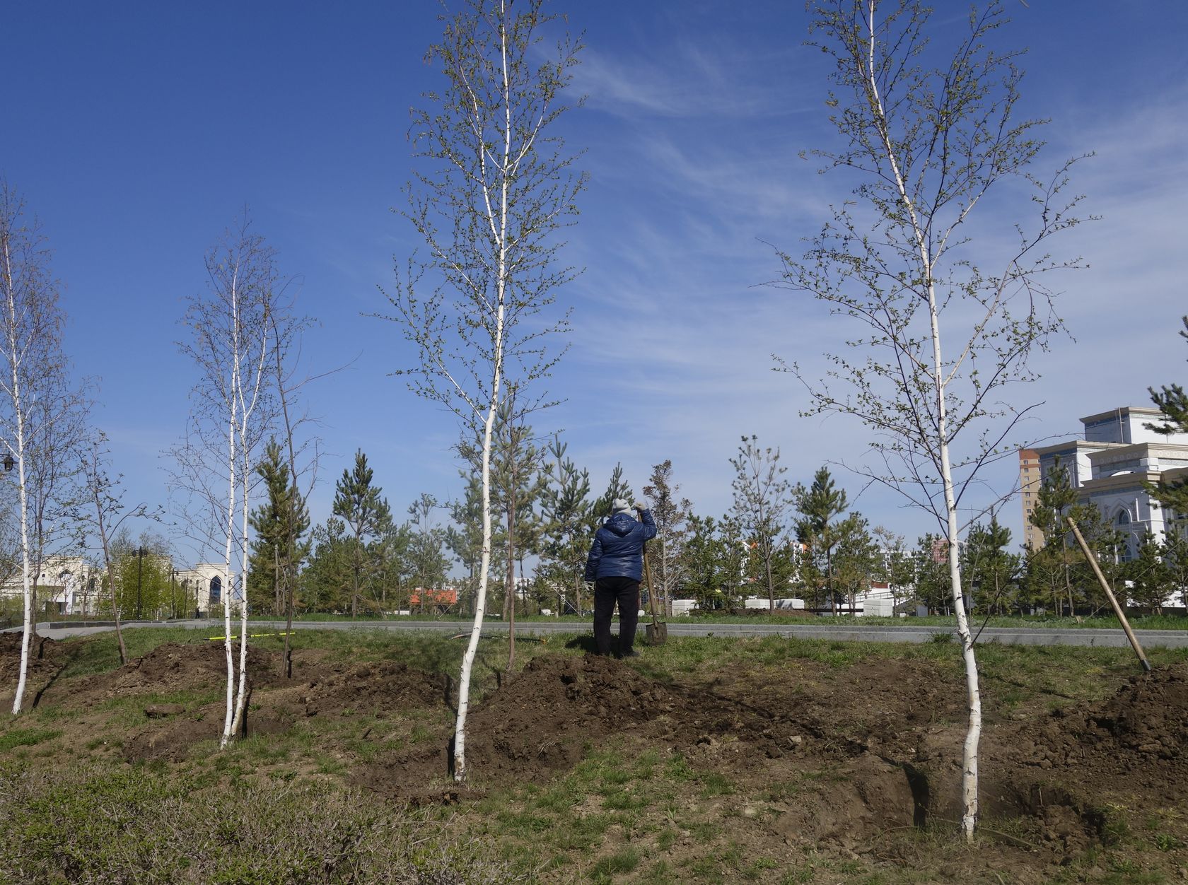 Астана, image of landscape/habitat.