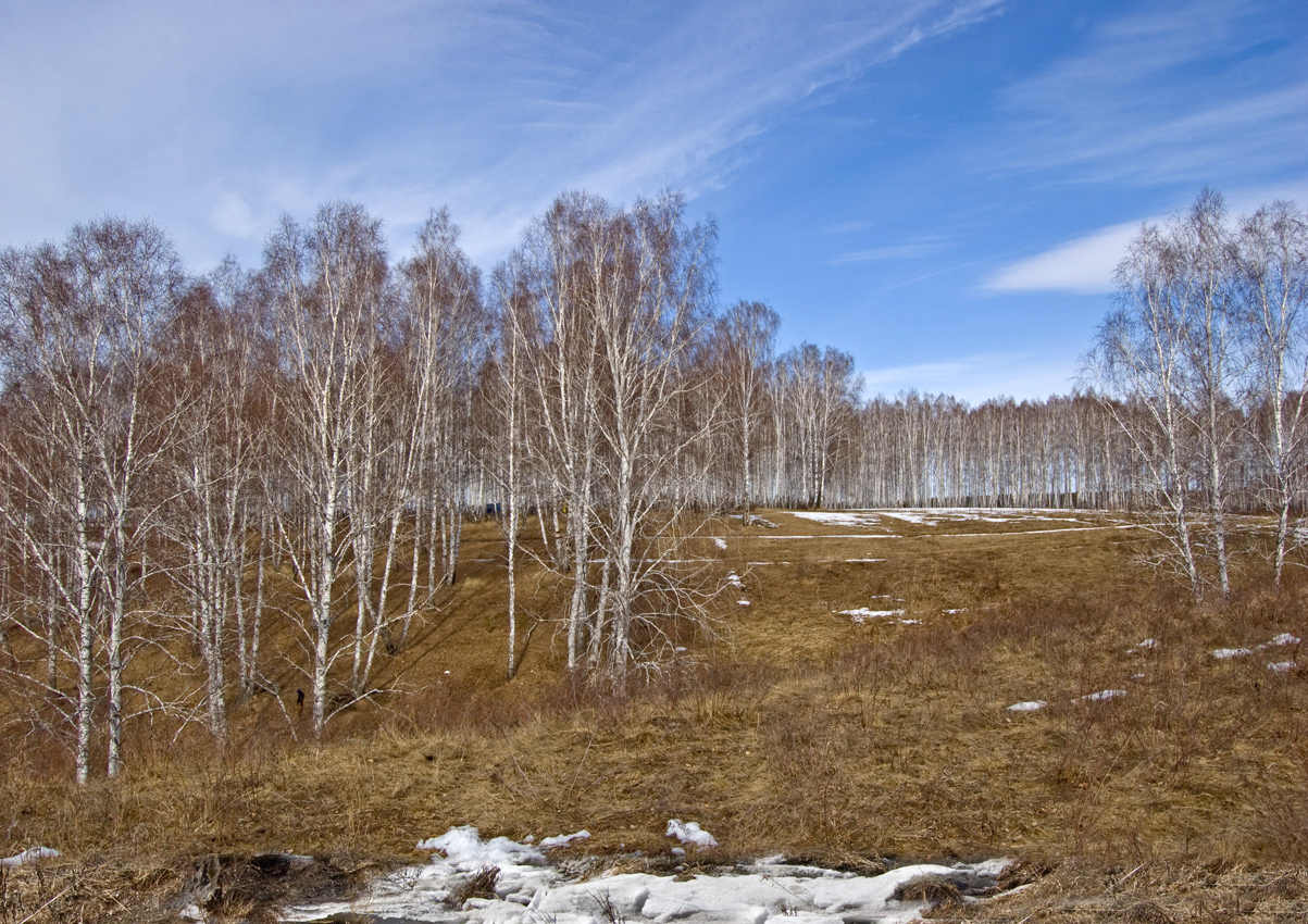 Окрестности деревни Бекленищева, image of landscape/habitat.