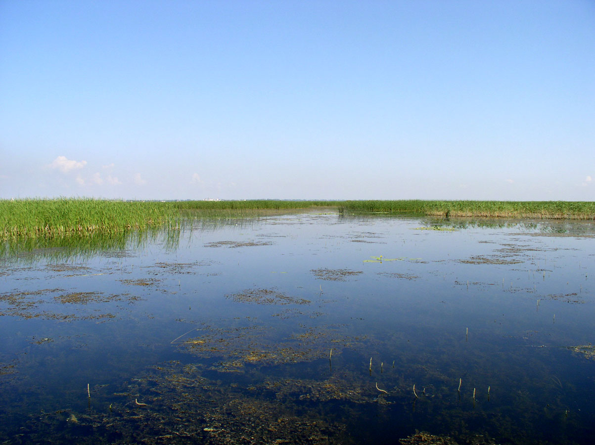 Озеро Неро, image of landscape/habitat.