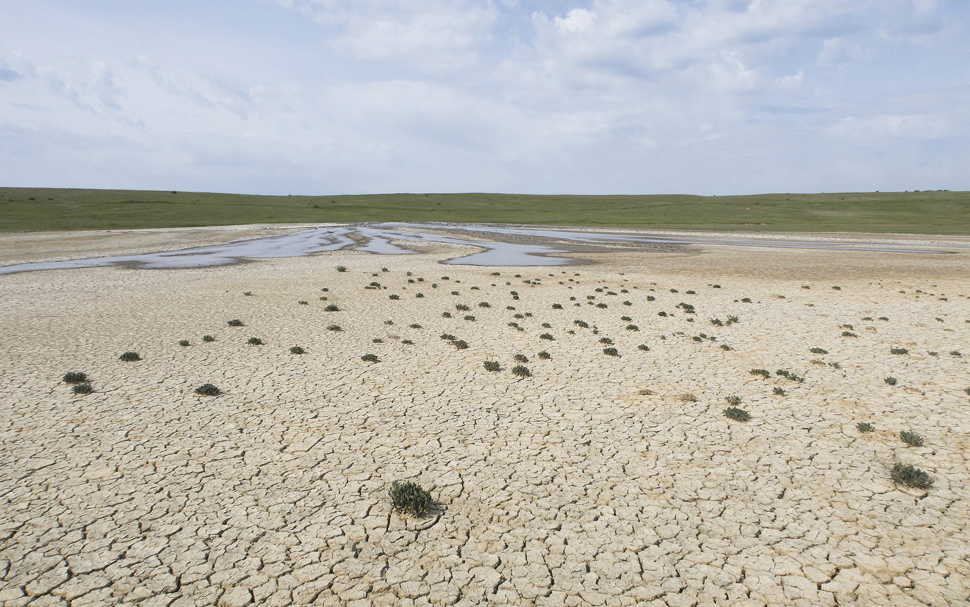 Булганакское сопочное поле, image of landscape/habitat.