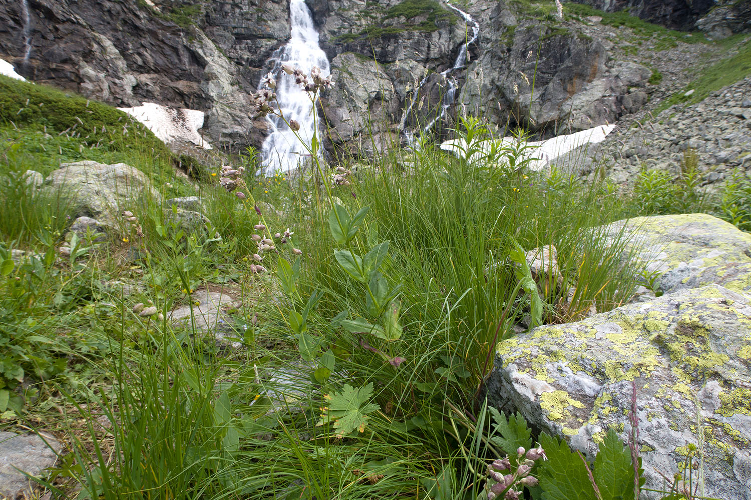 Верхний Имеретинский водопад, image of landscape/habitat.