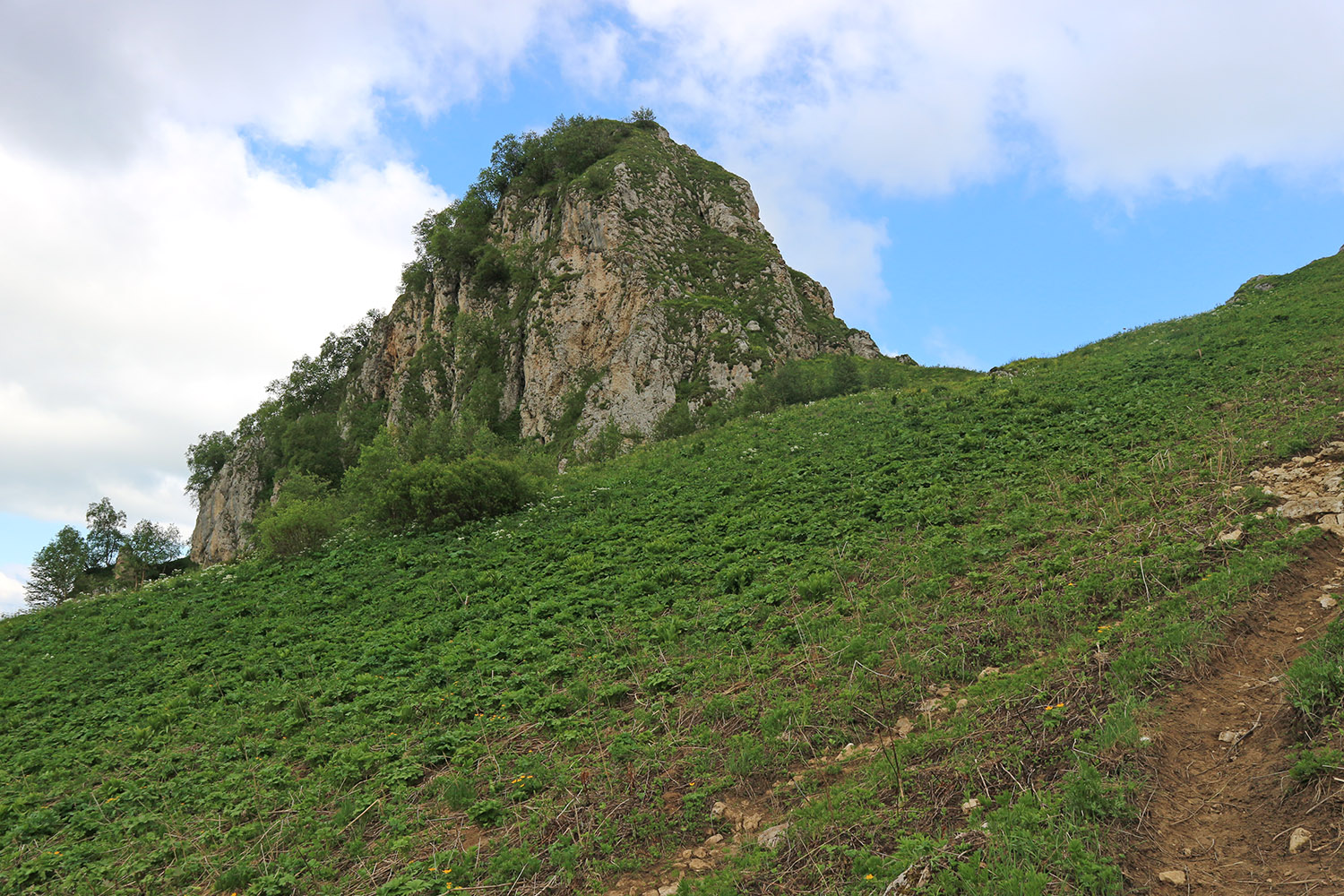 Пик Татьяны, image of landscape/habitat.