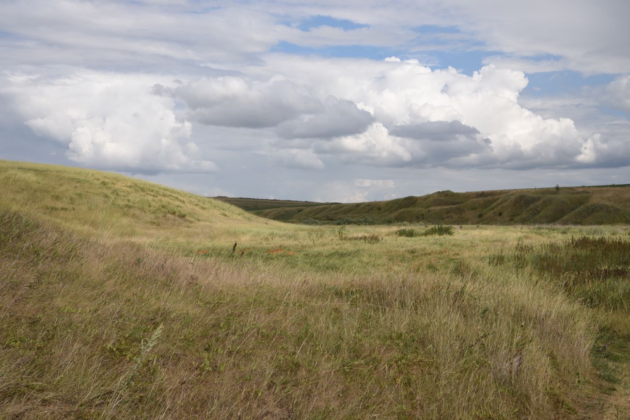 Балка Кочуровка, image of landscape/habitat.