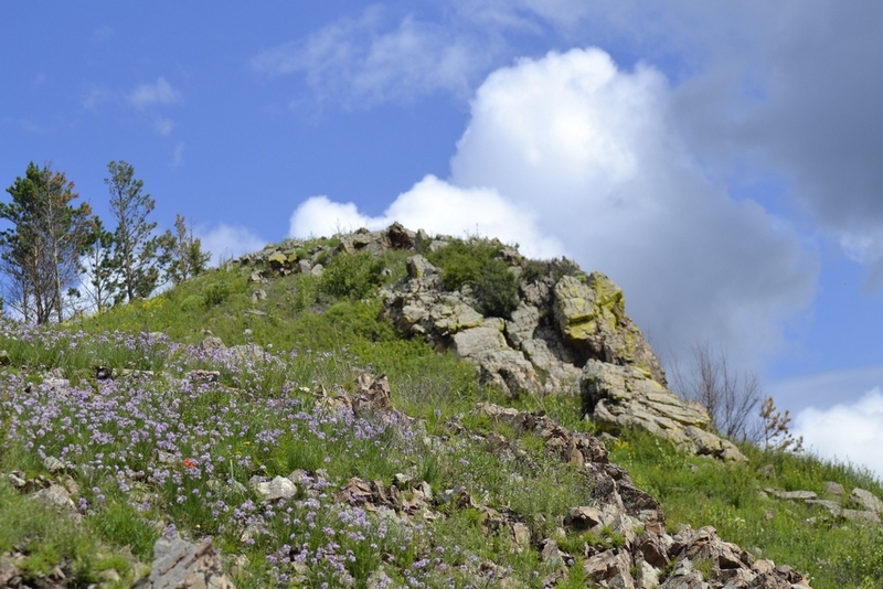 Река Курулга и гора Ундур, image of landscape/habitat.