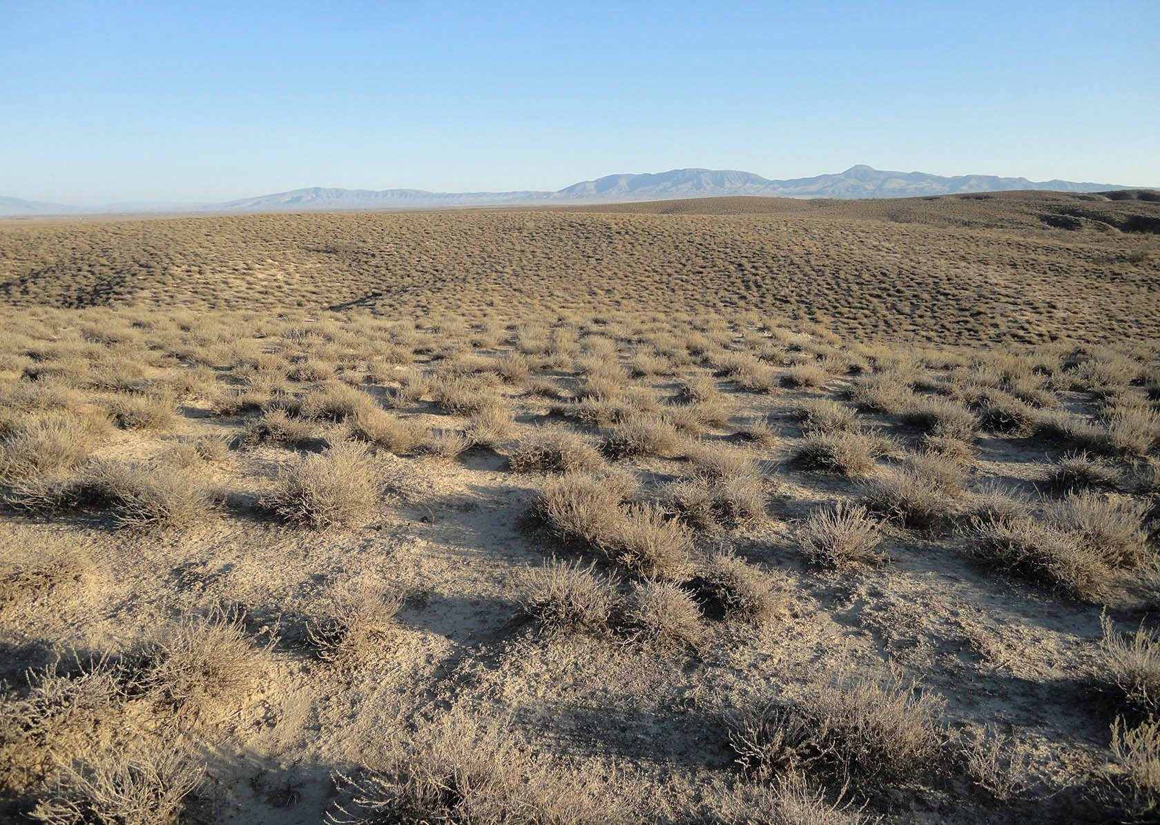 Акгая, image of landscape/habitat.