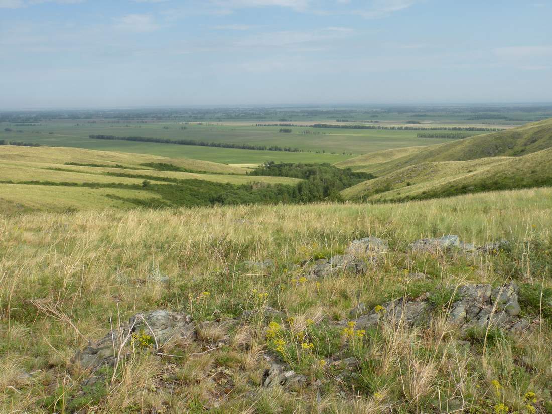 Озёрки, image of landscape/habitat.