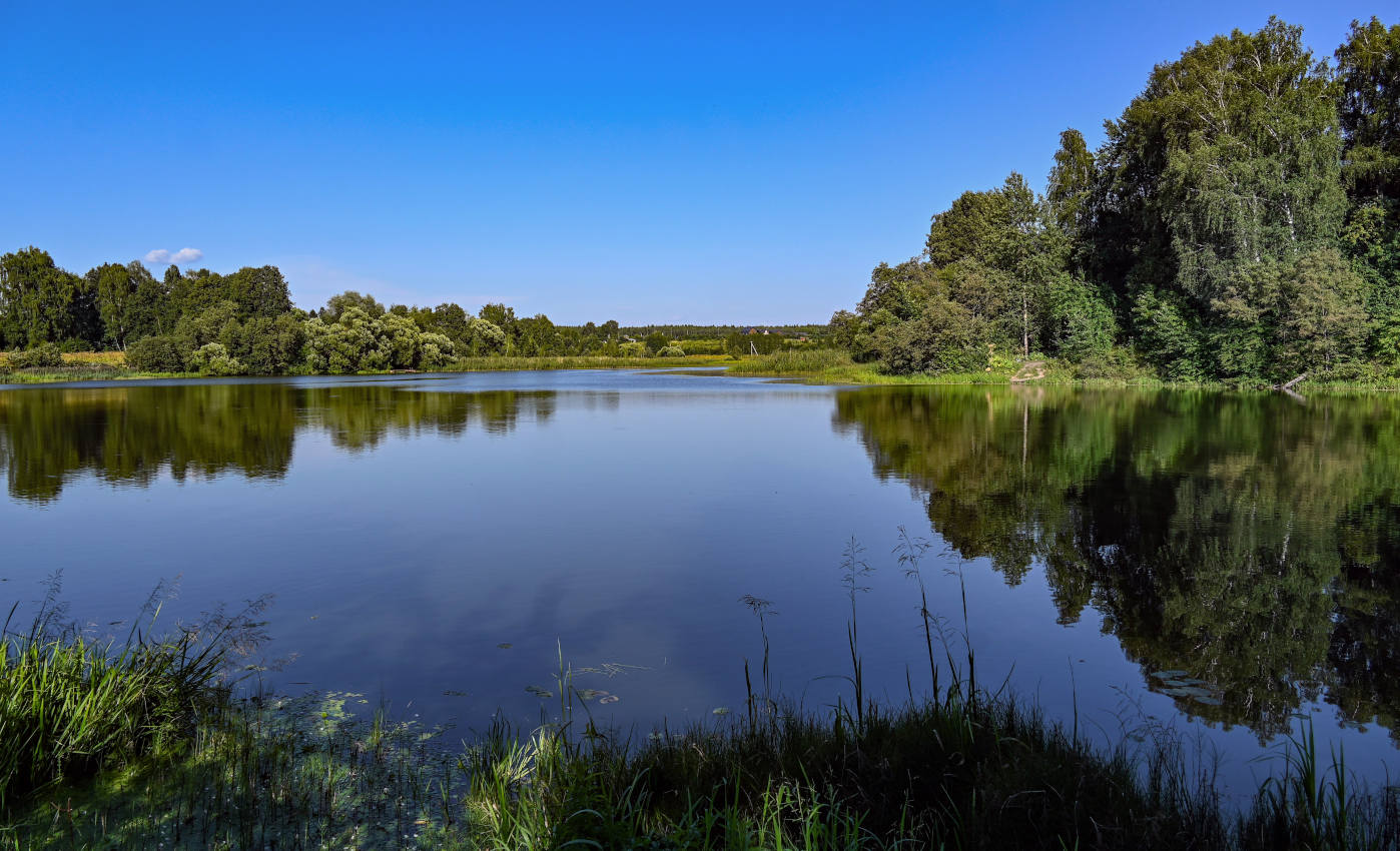 Учинское водохранилище, image of landscape/habitat.