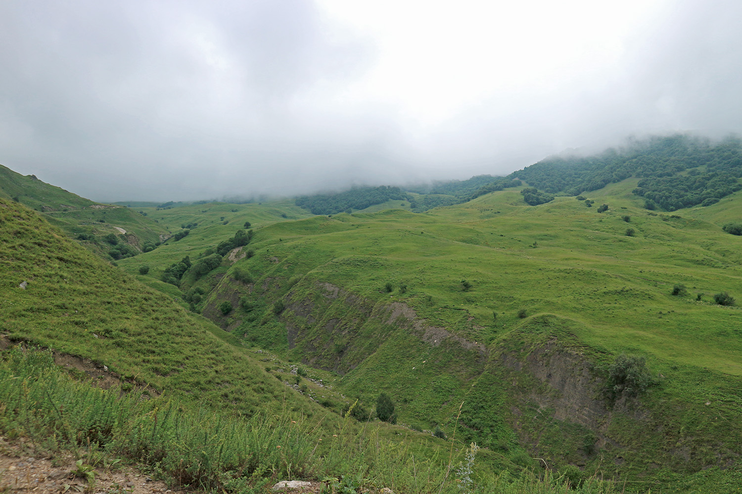 Хашхасу, image of landscape/habitat.