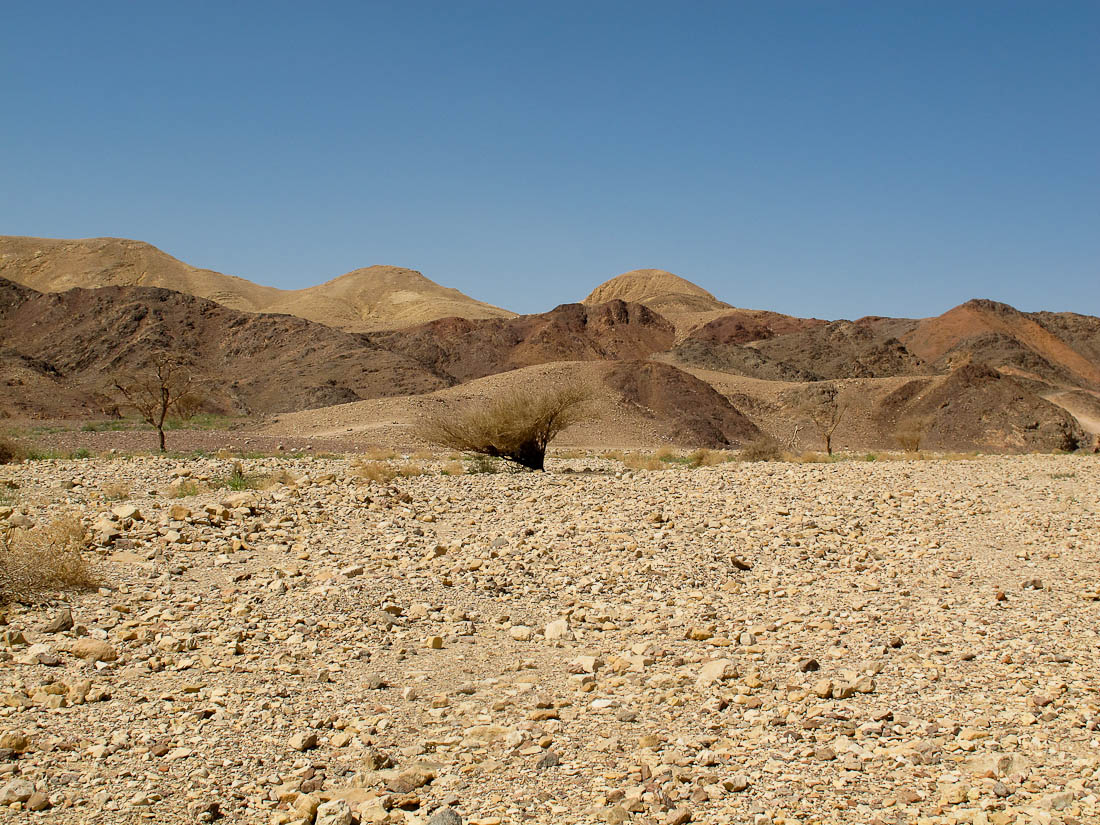 Эйлатские горы, image of landscape/habitat.