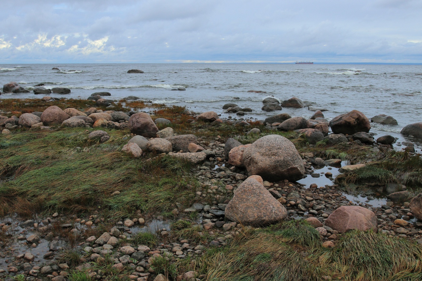 Каравалдай, image of landscape/habitat.