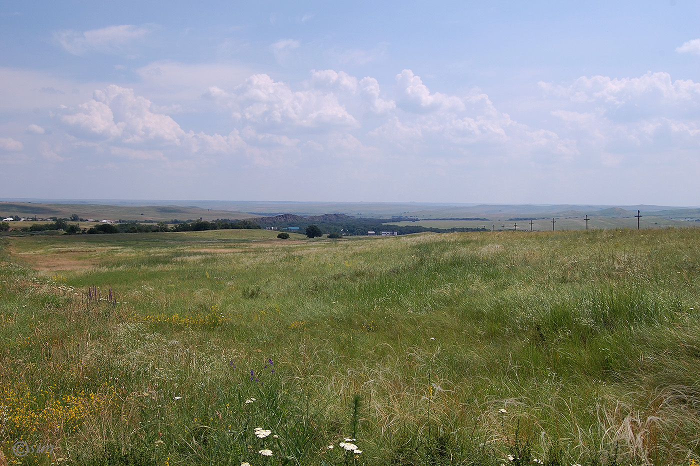 Провалье, Калиновский участок, image of landscape/habitat.