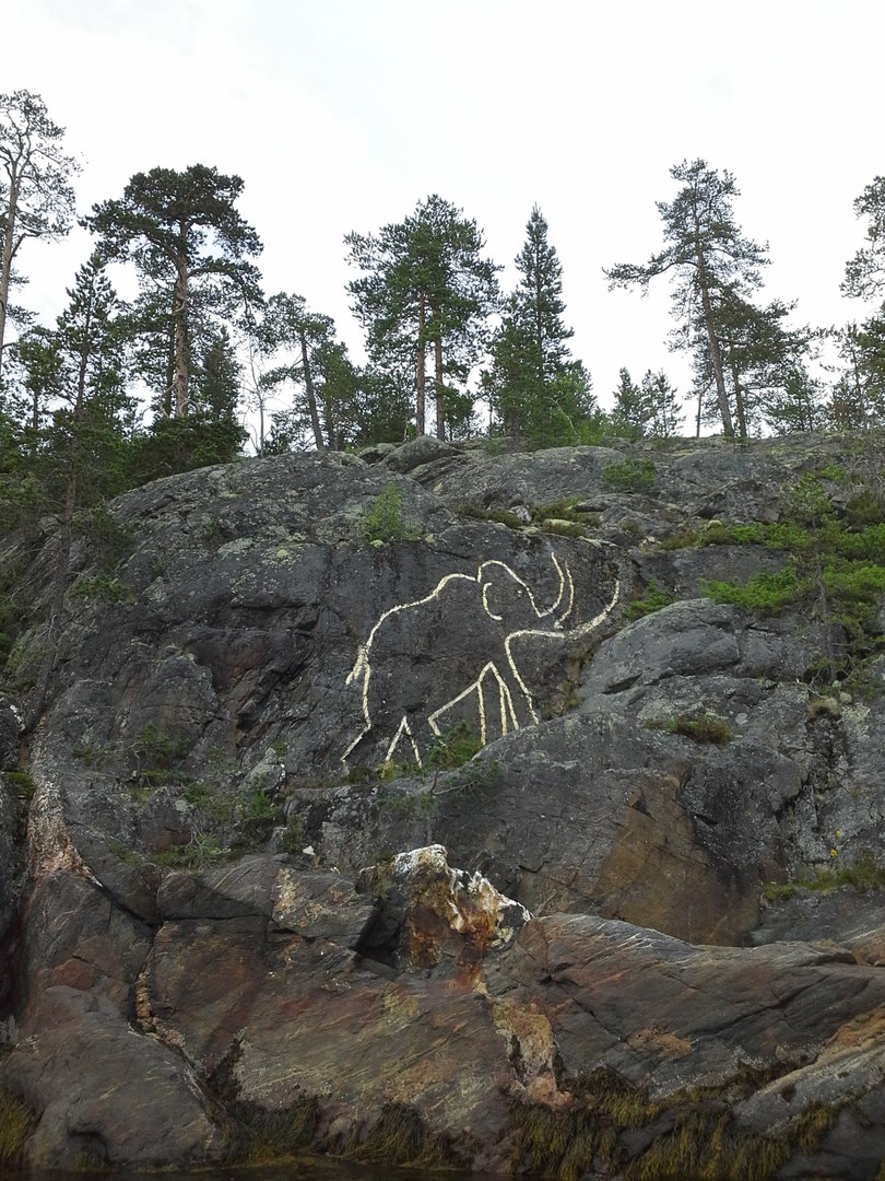 Беломорская Биостанция МГУ, image of landscape/habitat.