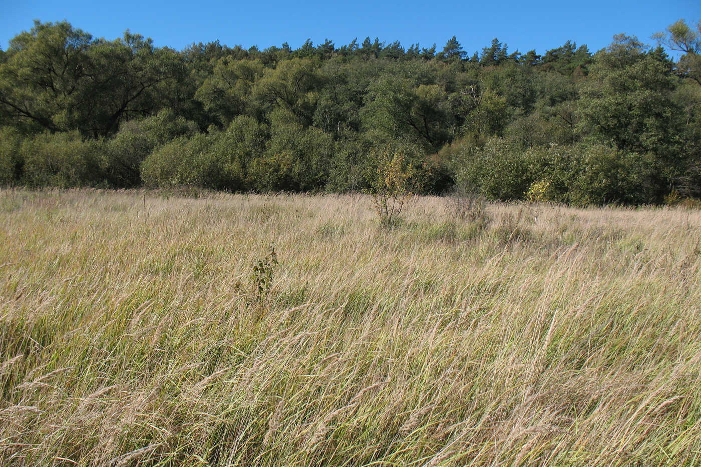 Долина реки Речма, image of landscape/habitat.