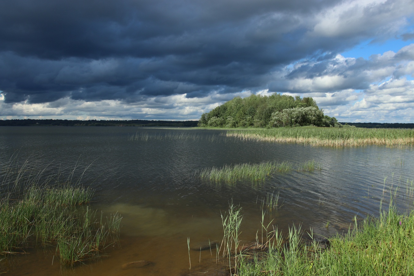 Езерище и окрестности, image of landscape/habitat.