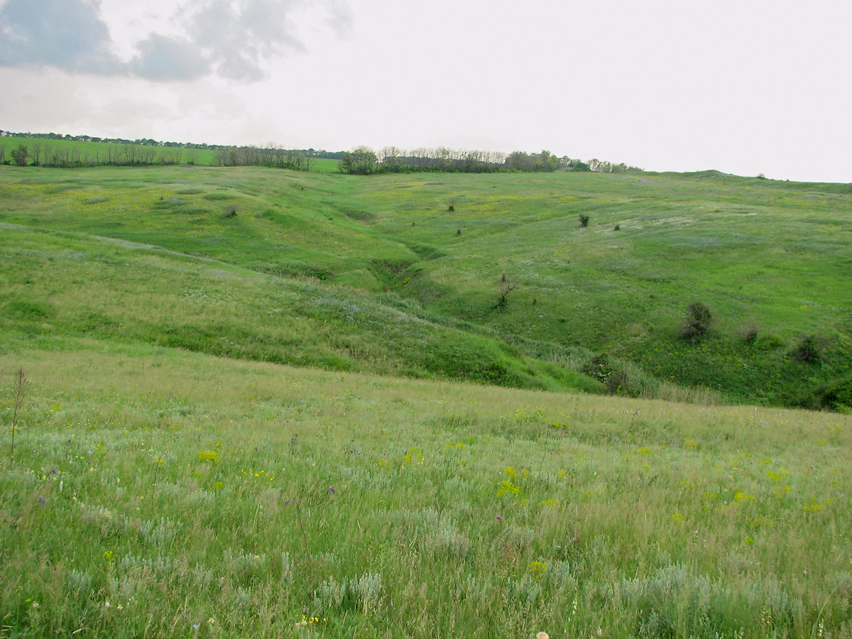 "Ларинский", image of landscape/habitat.