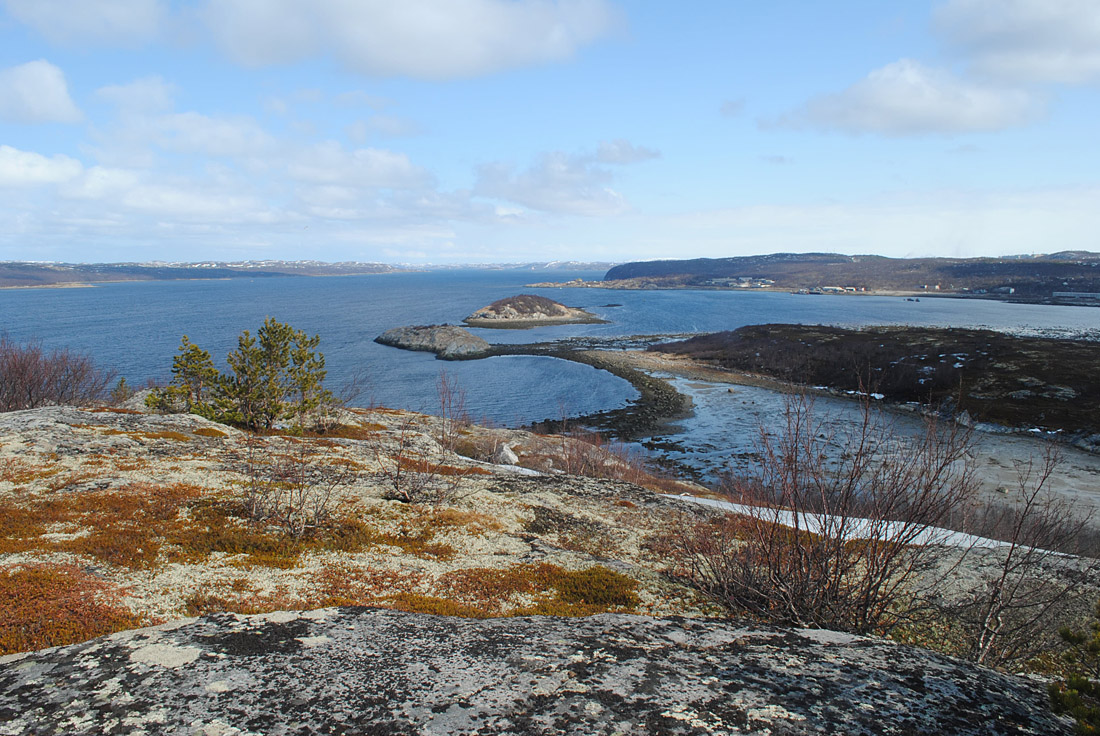 Губа Грязная, image of landscape/habitat.