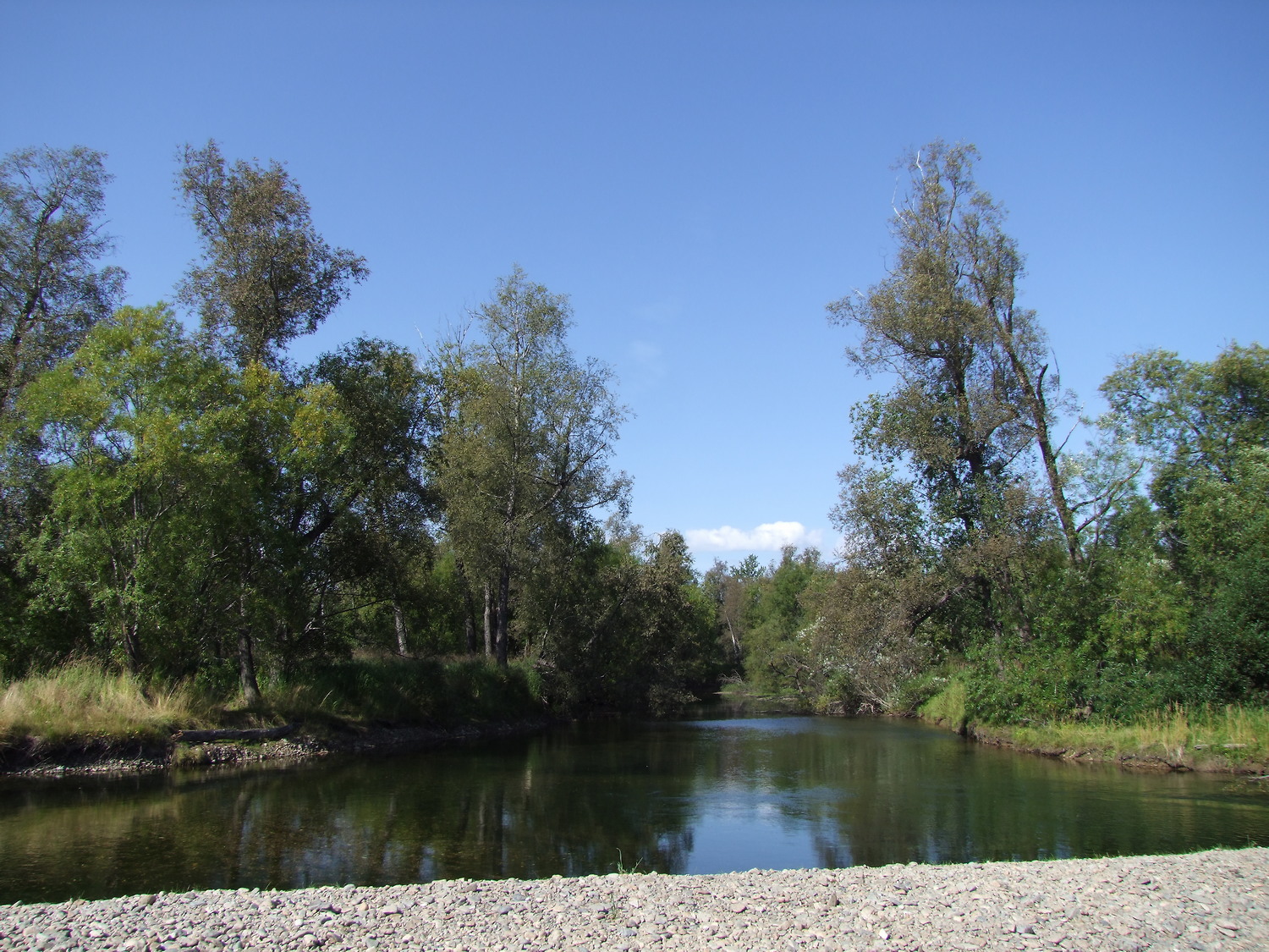 Ола и окрестности, image of landscape/habitat.