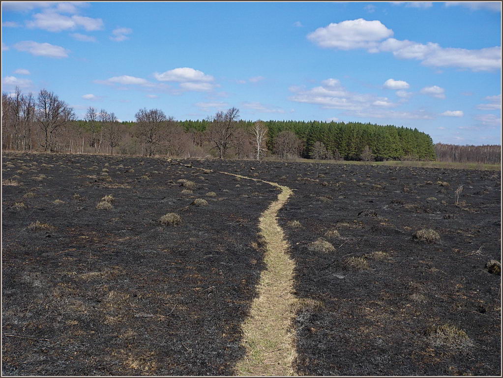 Соколова поляна, image of landscape/habitat.