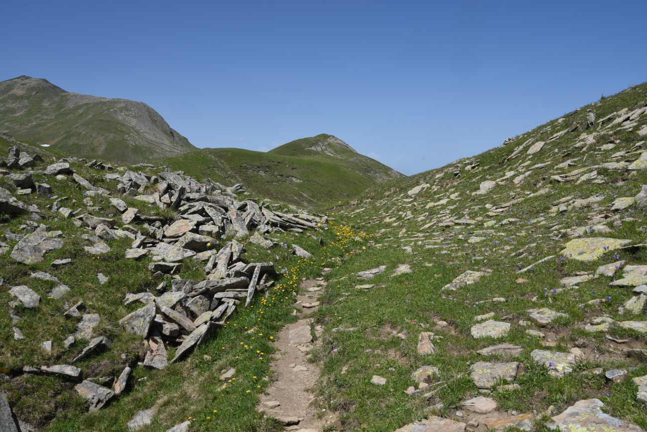 4 км от Цумандинского перевала, image of landscape/habitat.