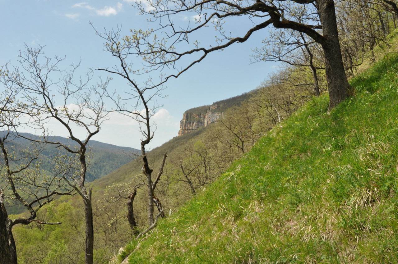 Орлиная скала, image of landscape/habitat.