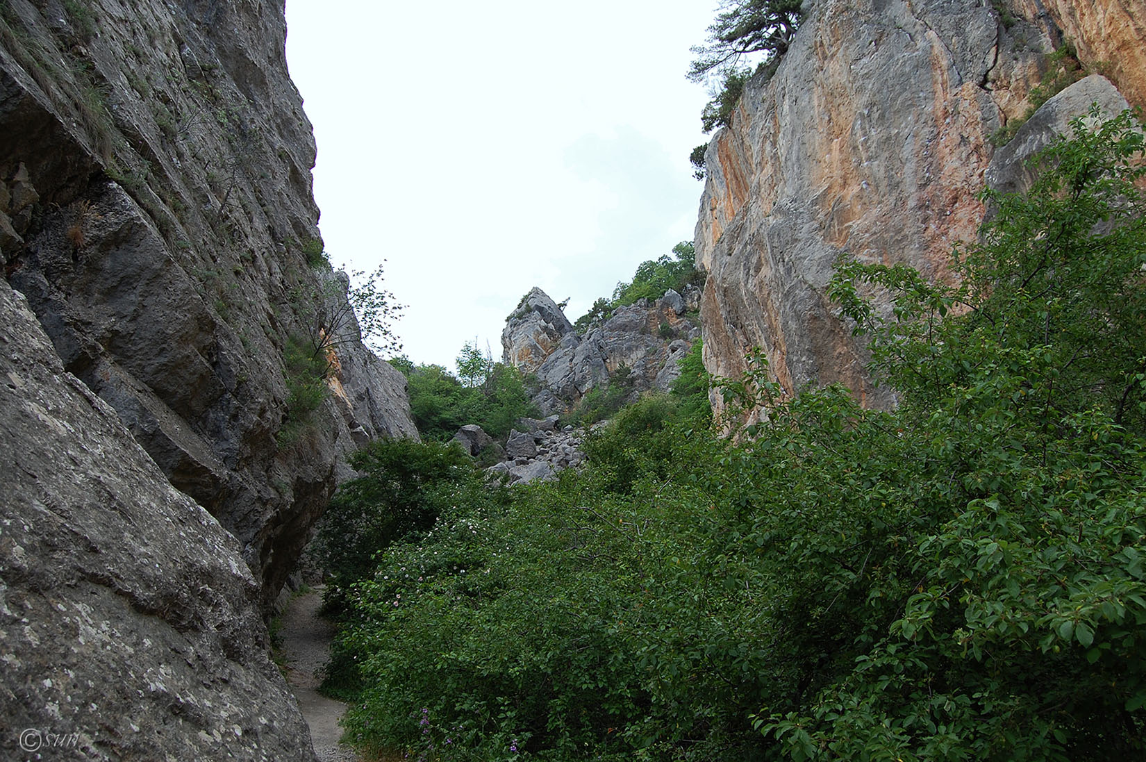 Никитская расселина, image of landscape/habitat.